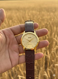 Sultan Gold | Men's Classic Analog Watch | Brown Crocodile Leather | Sapphire Coated Crystal
